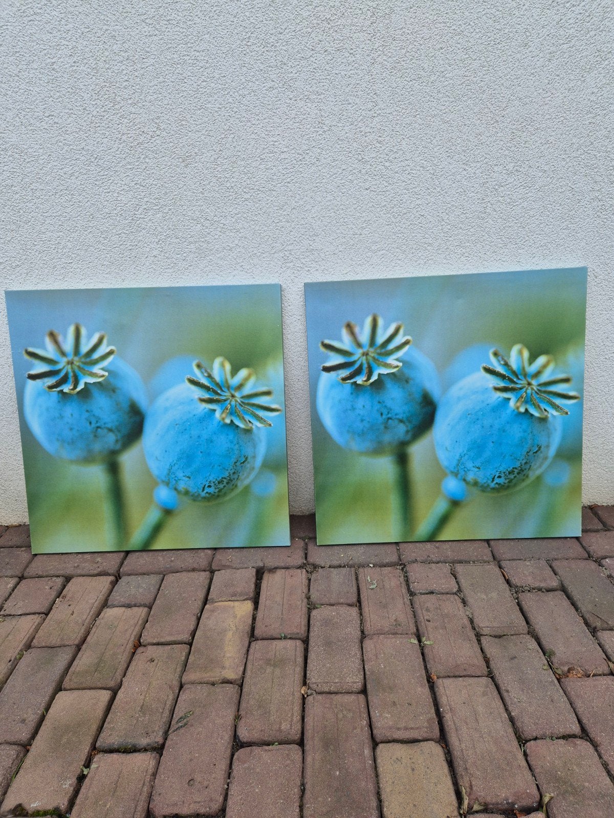 Canvas schilderij papavers 56 x 56 cm, Ophalen, 50 – 75, Gebruikt, Schilderij