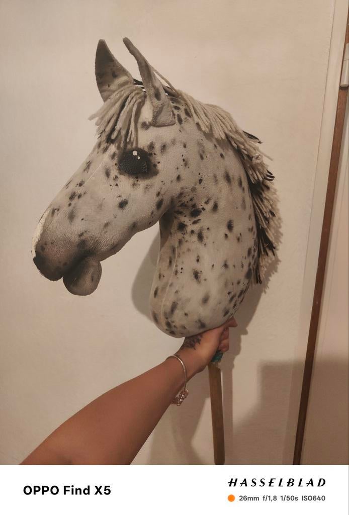 Hobby horse, Ophalen of Verzenden, Zo goed als nieuw