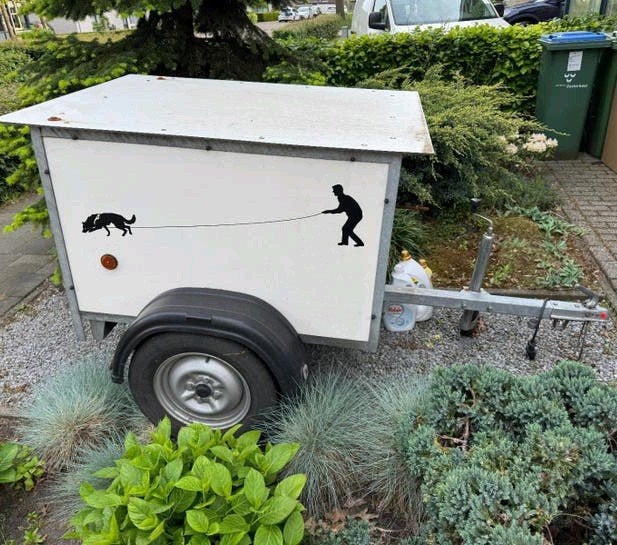 Honden aanhangwagen voor 2 honden, Ophalen
