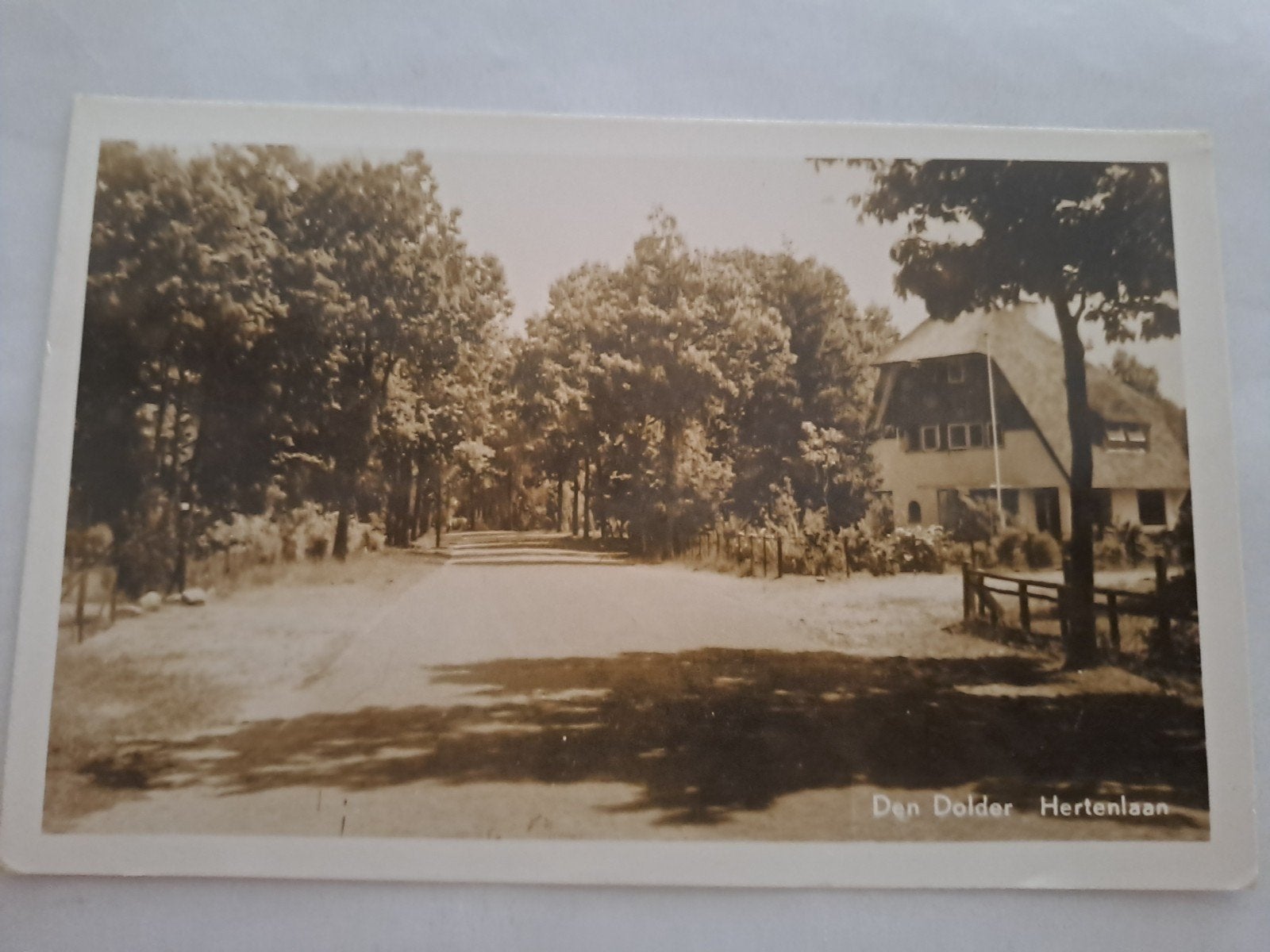 Den Dolder, Ophalen of Verzenden