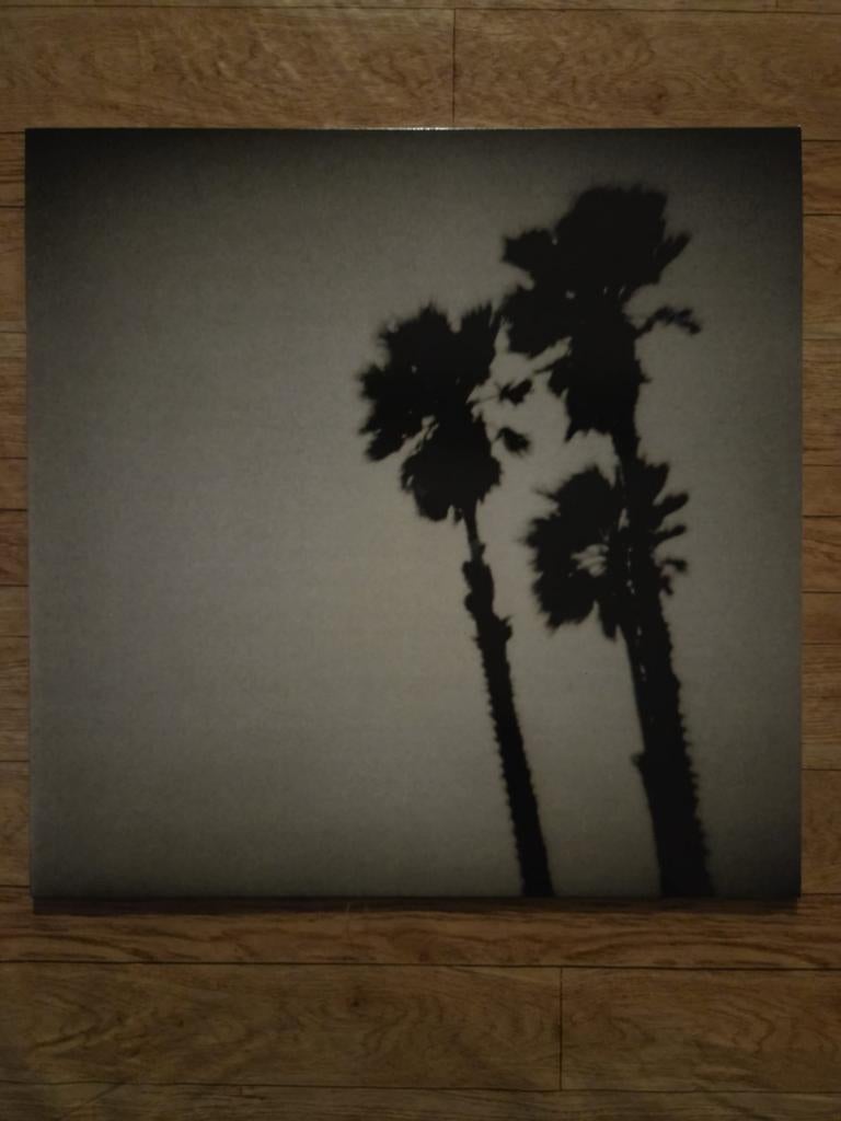 The Twilight Singers Blackberry Belle LP, Ophalen of Verzenden, Zo goed als nieuw, 12 inch, Poprock