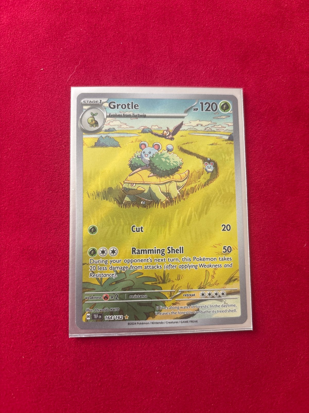 Pokémon Kaart: Grotle 164/162 - Stage 1 HP 120, Ophalen of Verzenden, Zo goed als nieuw, Losse kaart