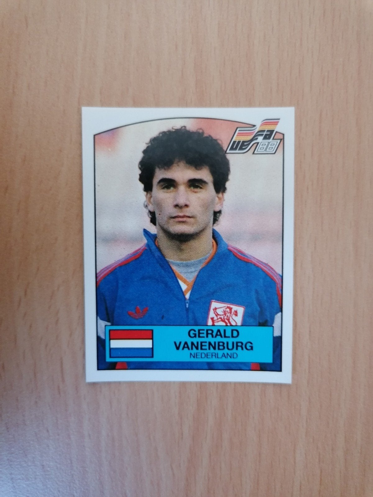 Panini Euro 88 #228 Gerald Vanenburg., Ophalen of Verzenden, Zo goed als nieuw, Plaatje