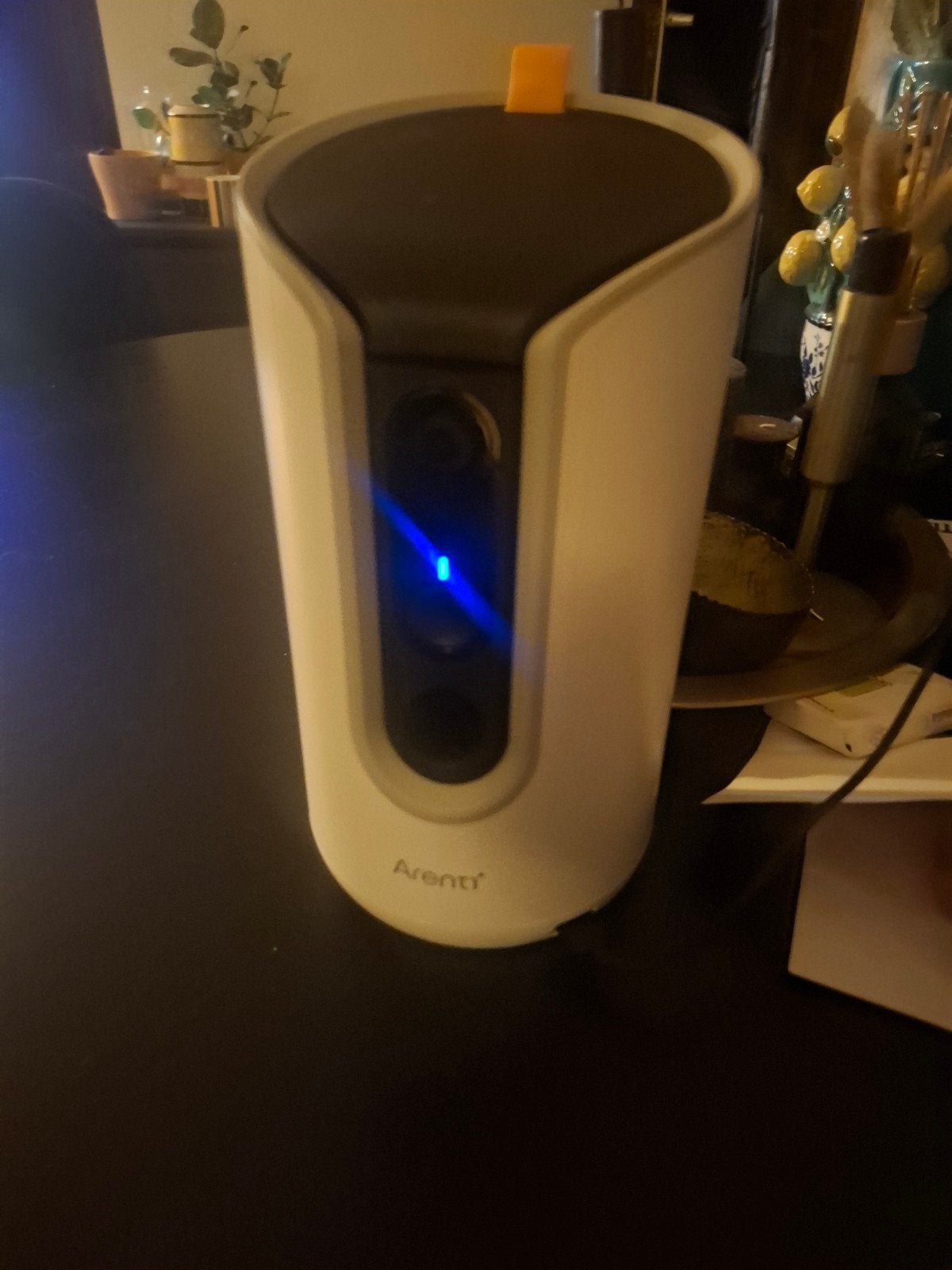 Arenti Pet Camera met Traktatiefunctie en 360 Beweging, Ophalen of Verzenden, Zo goed als nieuw, Binnencamera