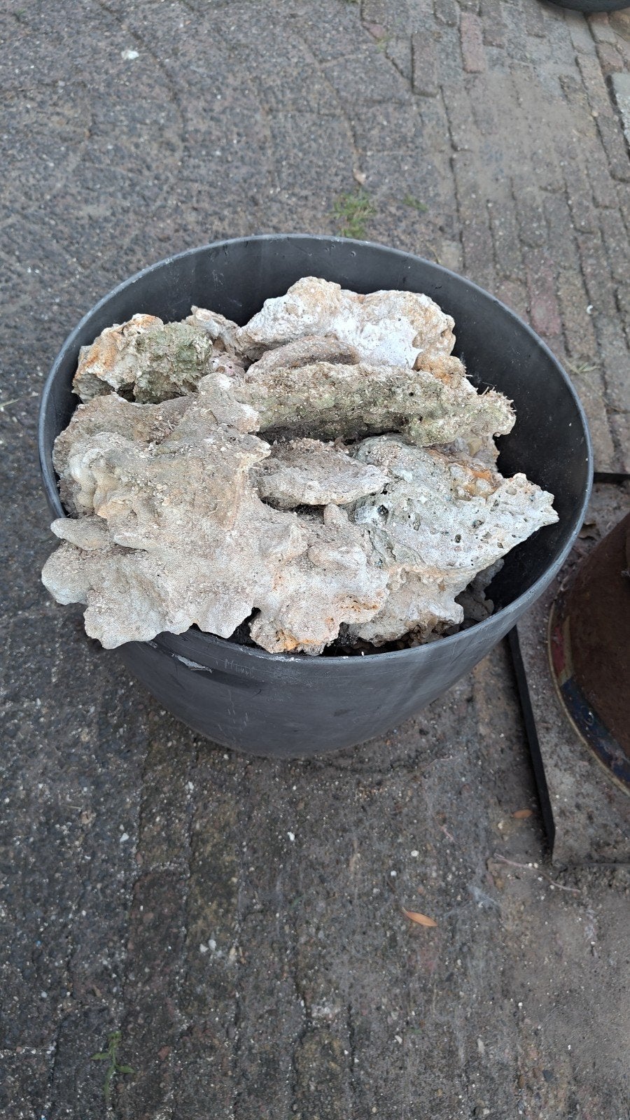 aquarium stenen, Dieren en Toebehoren, Ophalen, Plant(en), Steen of Hout