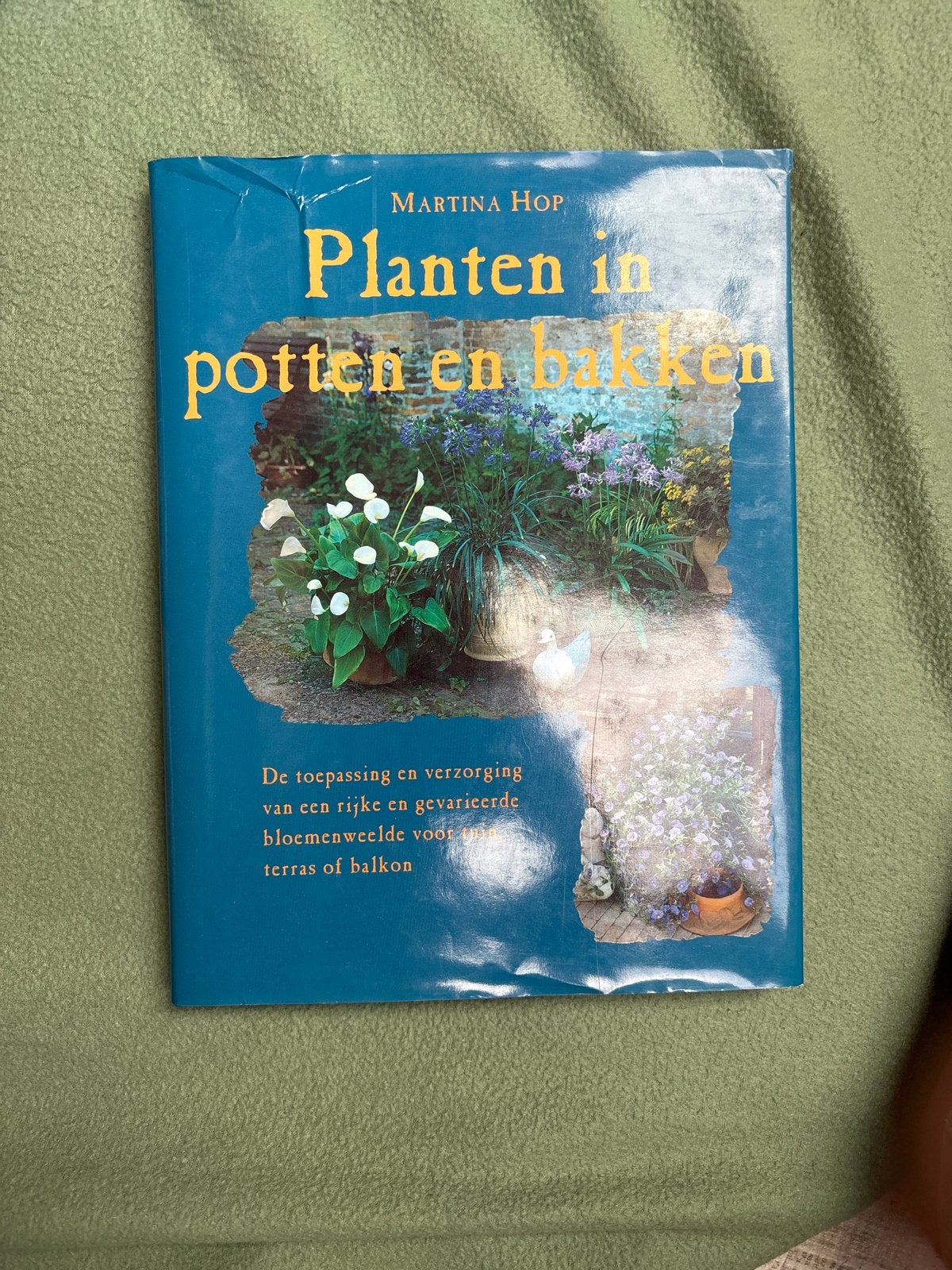 Planten in potten en bakken - Martina Hop, Ophalen, Gelezen, Tuinieren en Tuinplanten