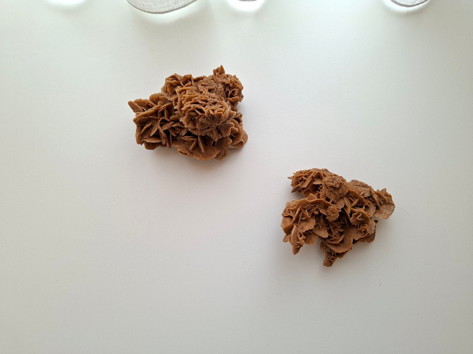 2 Woestijnrozen, Ophalen of Verzenden, Overige typen