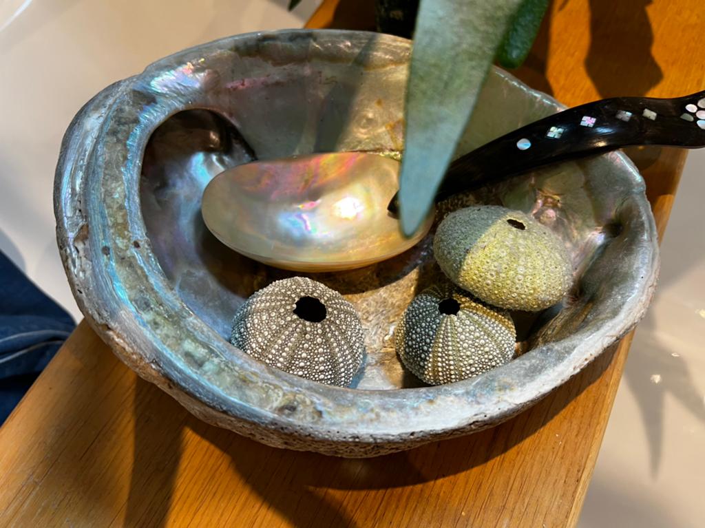 Zware Grote Abalone Schelp Schaal ~Kaviaar Lepel Parelmoer, Ophalen of Verzenden, Gebruikt, Overige materialen, Schaal