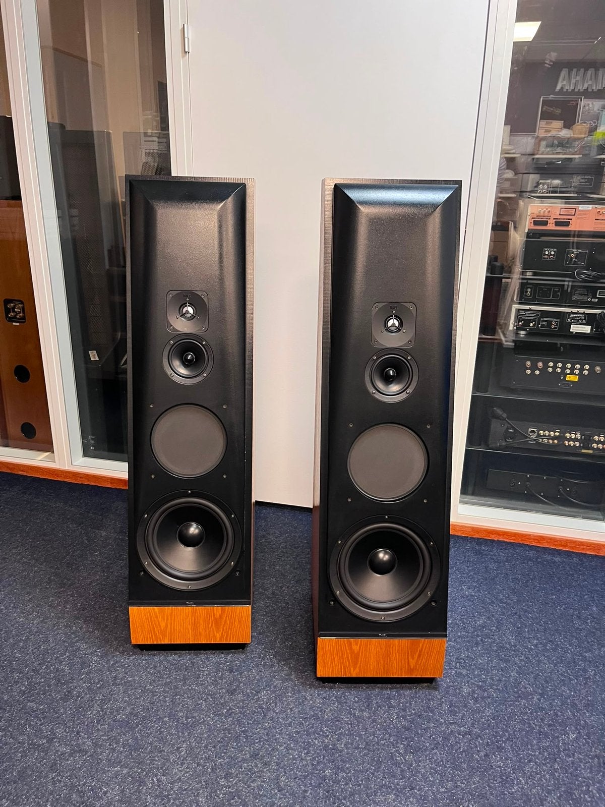 Thiel CS3.6 Vloerstaande Luidsprekers - High-End Audio, Gebruikt, ., ., 120 watt of meer