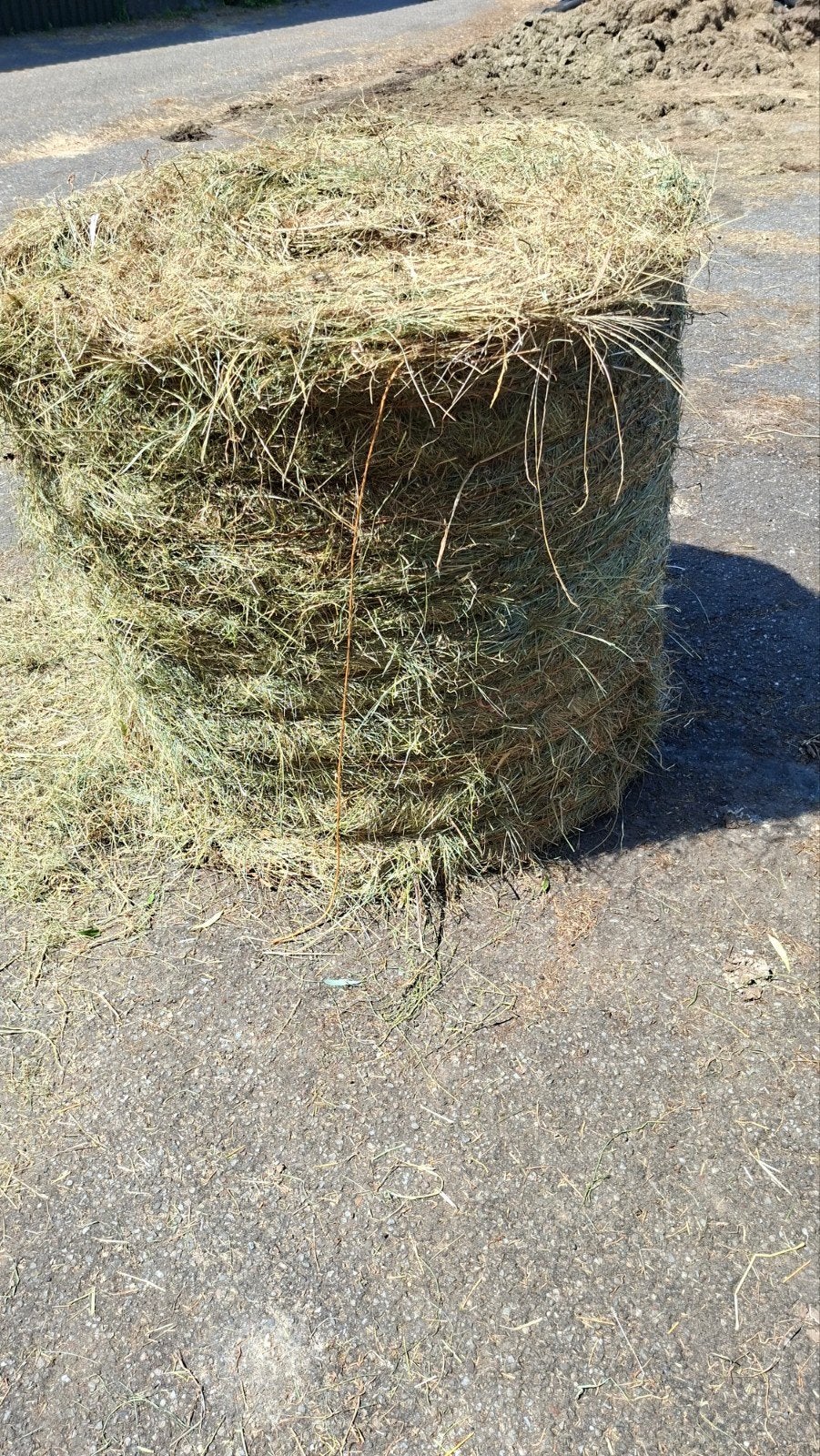 Ronde balen Natuurhooi, Dieren en Toebehoren, Dierenvoeding, Ophalen, Vee