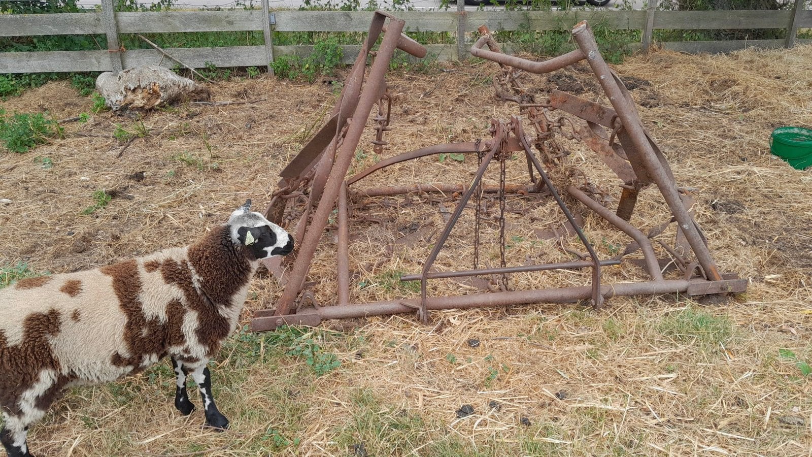 Oude weidesleep / sleepnet, Zakelijke goederen, Ophalen, Veehouderij, Weidebouw