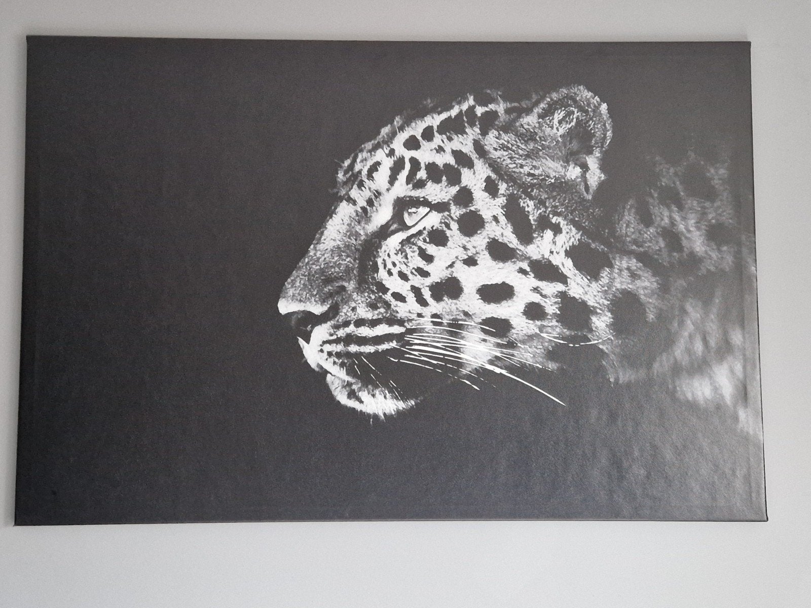 Mooie zwart-wit panter poster 118 x 78 cm, Ophalen, Zo goed als nieuw, 100 tot 125 cm, Foto of Poster