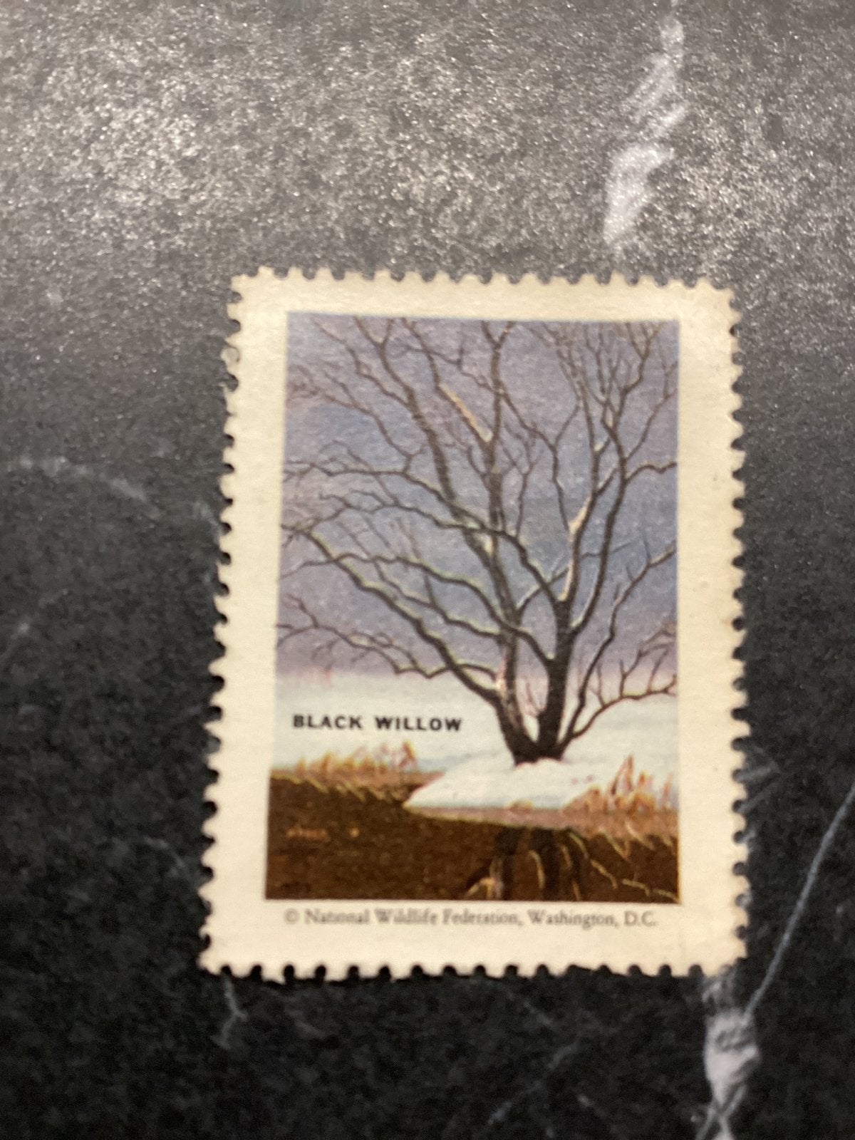Zeldzame postzegel 'Black Willow' - National Wildlife, Ophalen of Verzenden, Postfris