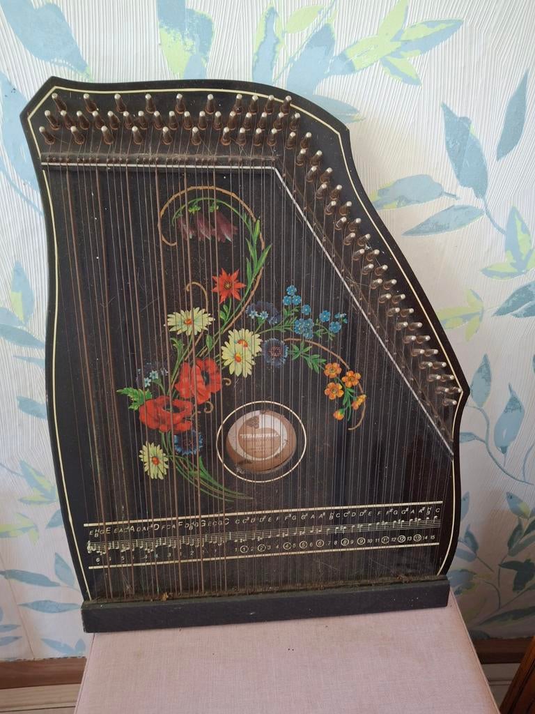 Zwarte citer met bloemen, 52x38 cm, Muziek en Instrumenten, Ophalen of Verzenden
