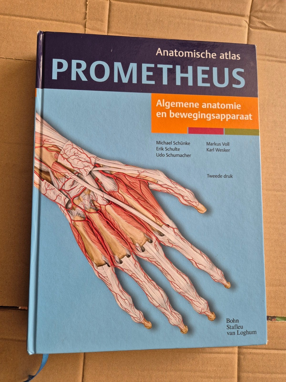 Erik Schulte - Algemene anatomie en bewegingsapparaat, Ophalen of Verzenden, Zo goed als nieuw