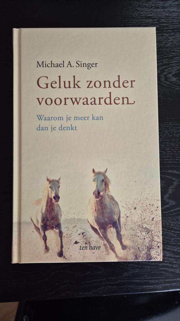Michael A. Singer - Geluk zonder voorwaarden, Boeken, Esoterie en Spiritualiteit, Spiritualiteit algemeen, Overige typen, Ophalen of Verzenden