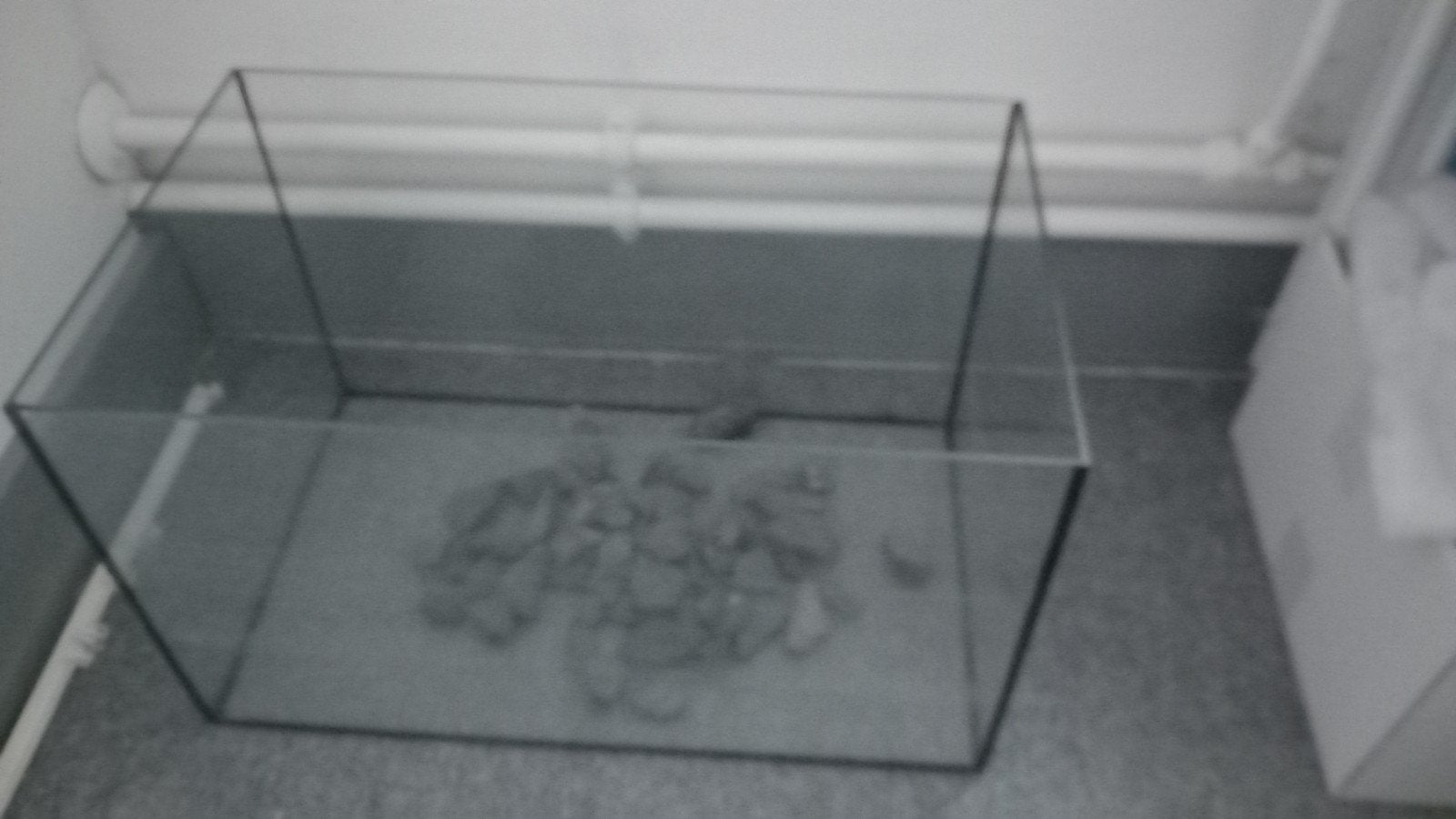 Aquarium s, Ophalen of Verzenden