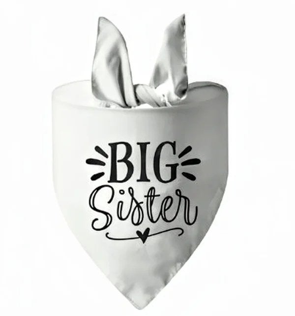 Honden bandana Big Sister en nog veel meer!, Overige typen, Nieuw, Ophalen of Verzenden, Info@sweet-one.nl