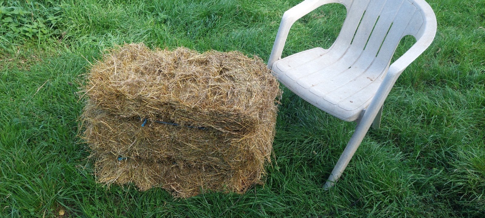 hooi, Dieren en Toebehoren
