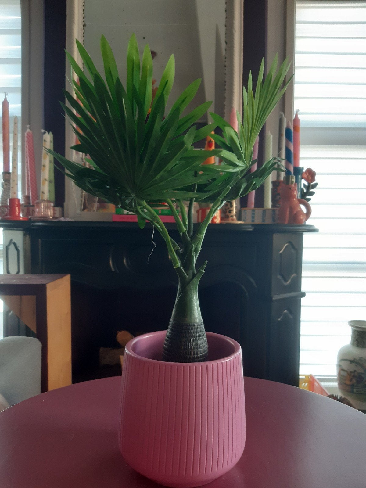 Leuke kunstplant voor €2,50, Ophalen, Volle zon, Overige soorten, Minder dan 100 cm
