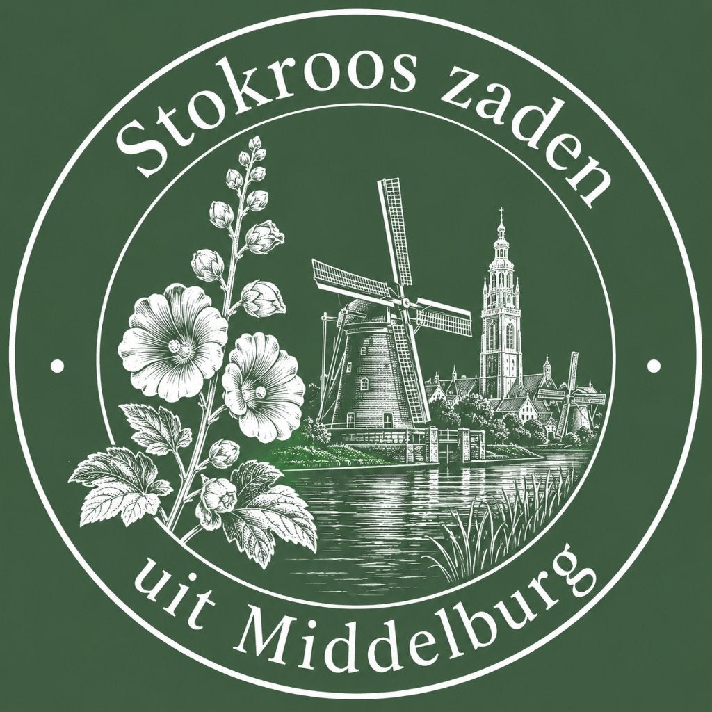 Dubbelbloemige stokroos zaden (Roze / Wit) |  (30 stuks), Tuin en Terras, Planten | Tuinplanten, Overige soorten, Volle zon, Ophalen of Verzenden