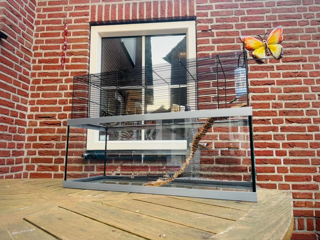 Terrarium knaagdierenverblijf, Dieren en Toebehoren, Muis, Zo goed als nieuw, Hok, 75 tot 110 cm