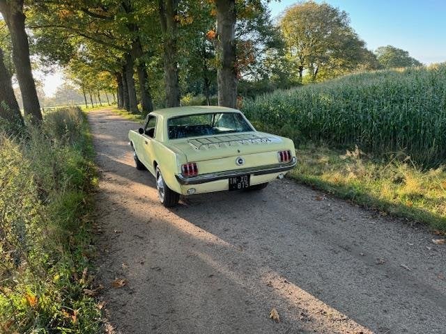 Ford USA Mustang Coupe 289cui V8 Automaat 1965, foto 8