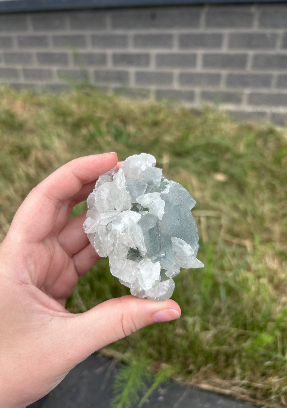 Blauwe Fluoriet met Calciet vleugels, Ophalen, Mineraal
