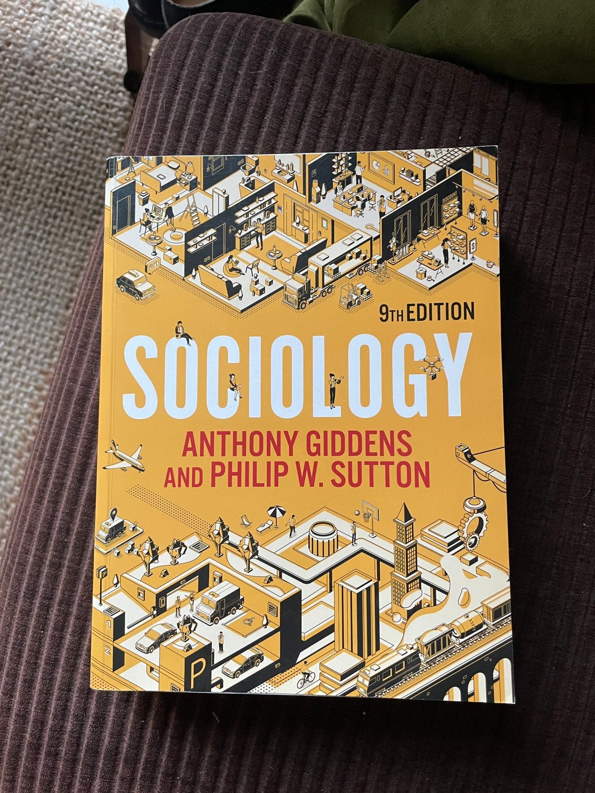 Socioloy - Anthony Giddens & Philip W. Sutton, Ophalen of Verzenden, Zo goed als nieuw, Philip W. Sutton, Nederland