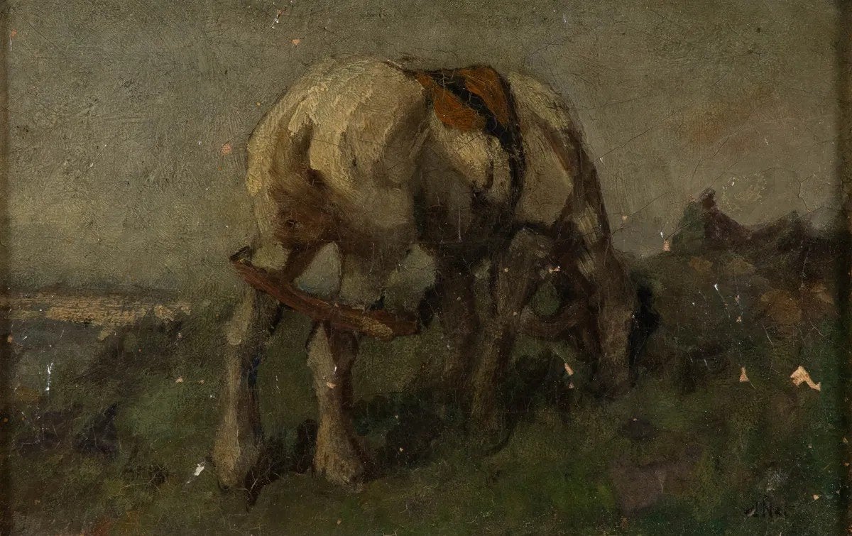 Willem Hendrik van der Nat  1864-1929, Ophalen of Verzenden