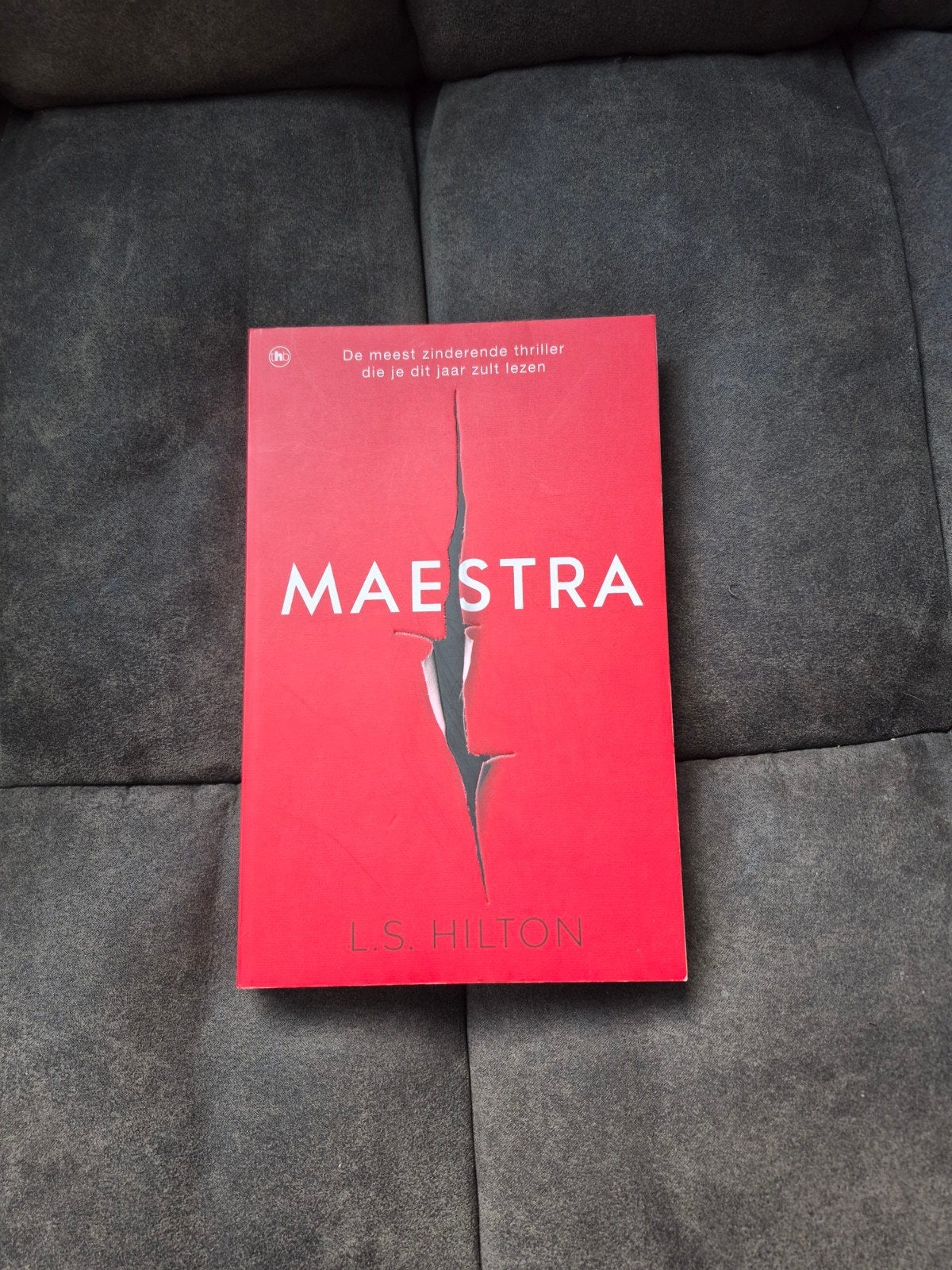 Maestra - L.S. Hilton (Thriller), Ophalen of Verzenden, Gelezen, L.S. Hilton, Europa overig