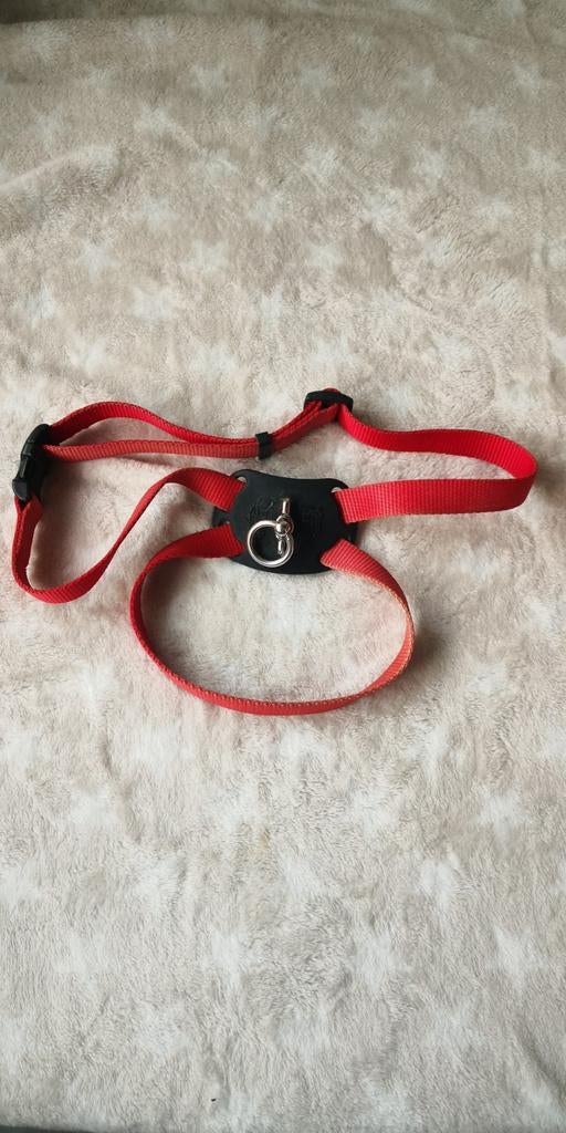 Honden tuigje. Rood., Ophalen of Verzenden