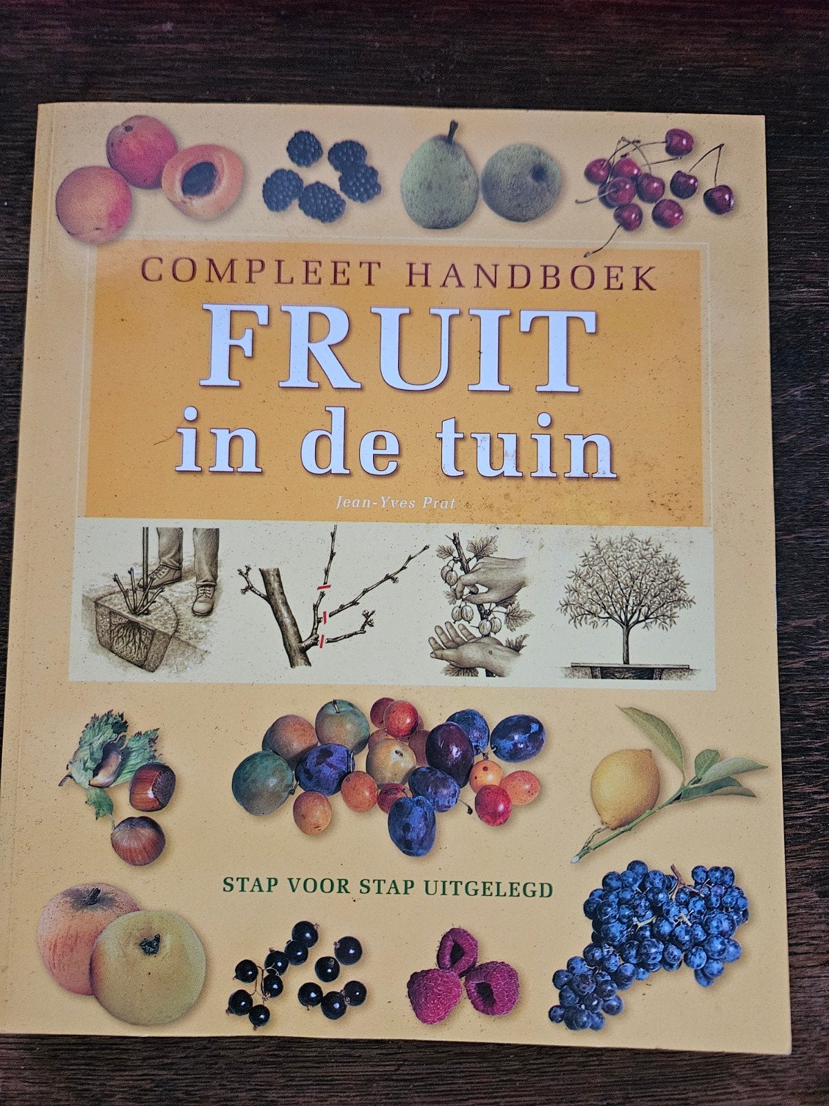Compleet Handboek Fruit in de tuin - Jean-Yves Prat, Boeken, Ophalen of Verzenden, Zo goed als nieuw, Jean-Yves Prat, Tuinieren en Tuinplanten