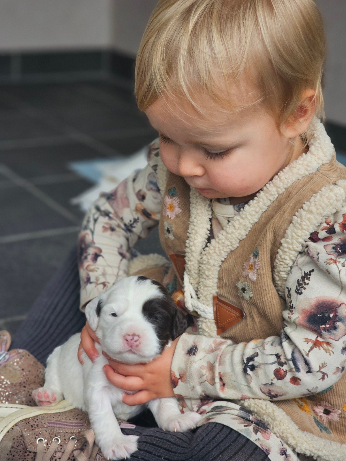 liefste Australian Labradoodle Parti puppy's mini te koop, Overige rassen, CDV (hondenziekte), 8 tot 15 weken, Meerdere