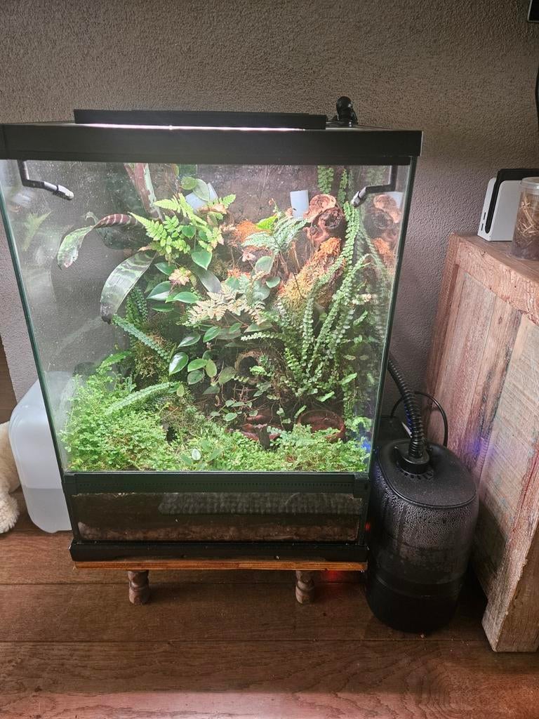 Exo terra 45x45x60 zeer compleet, Dieren en Toebehoren, Reptielen en Amfibieën | Toebehoren, Ophalen, Zo goed als nieuw