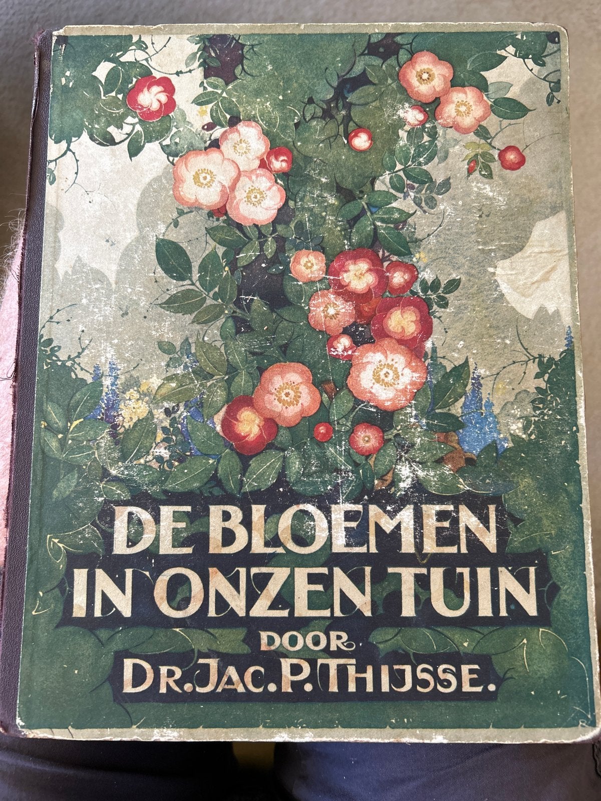 De Bloemen in Onzen Tuin - Verkade Album 1926, Boeken, Natuur, Ophalen, Gelezen, Bloemen, Planten en Bomen