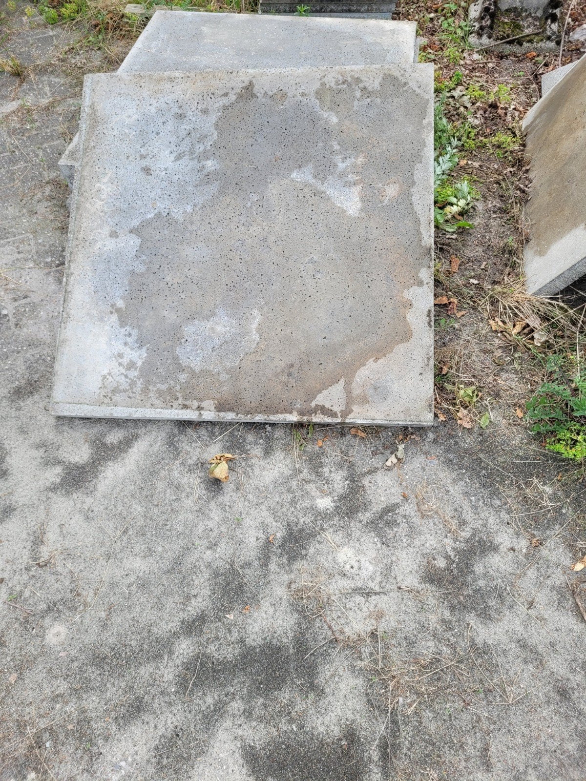 schellevis tegels 100x100x5, Ophalen, Beton, Terrastegels