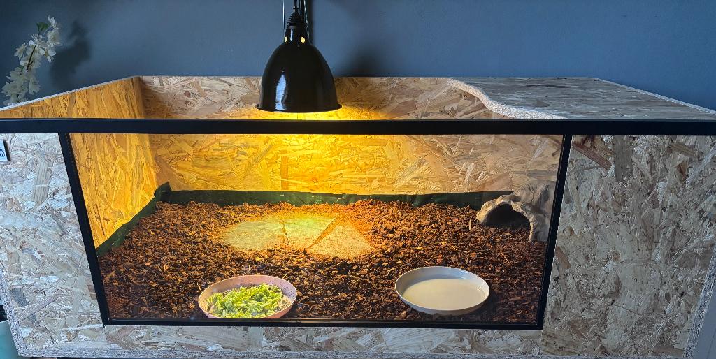 vierteenlandschildpad /osb terrarium 120x70x40, Dieren en Toebehoren, Ophalen, Zo goed als nieuw, Terrarium of Paludarium
