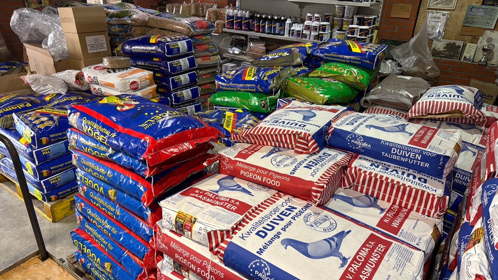 Duiven en vogel voeren, Meerdere dieren, Postduif