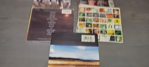 Pearl Jam, Ophalen of Verzenden, Gebruikt, Poprock