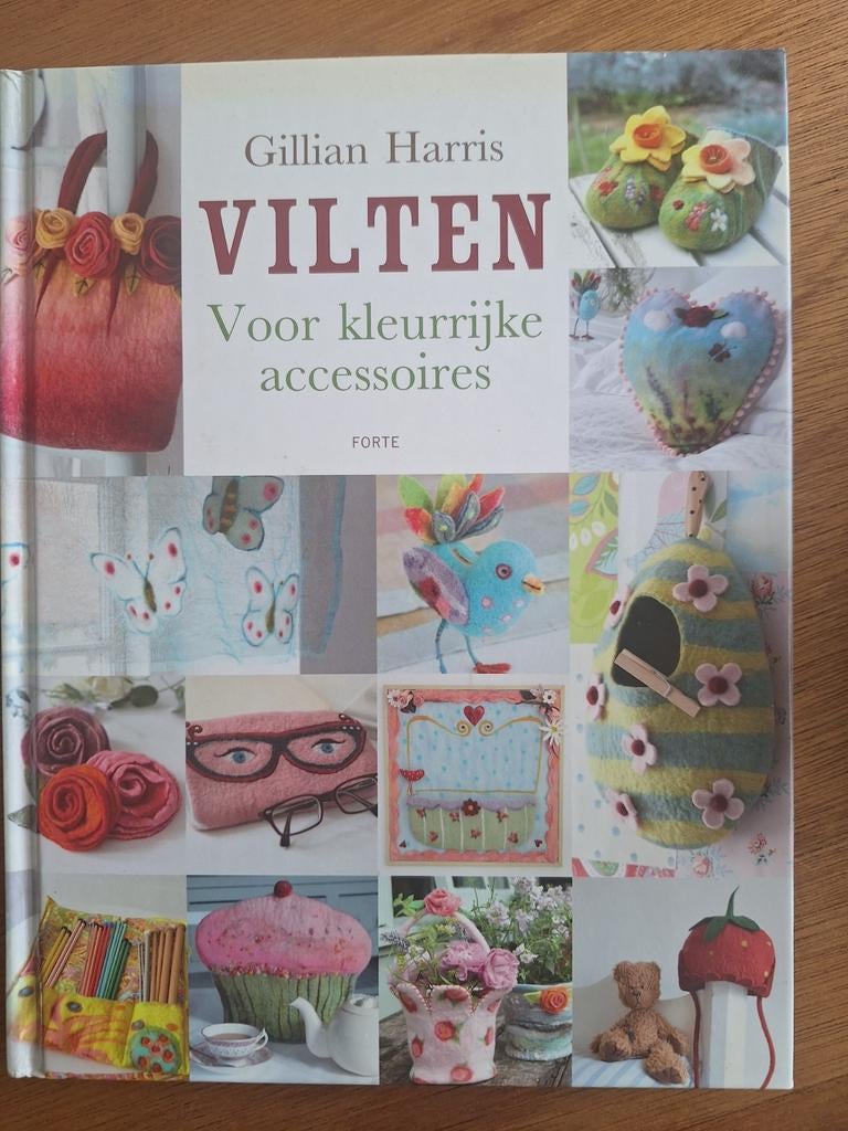 Vilten voor kleurrijke accessoires - Gillian Harris, Ophalen of Verzenden, Zo goed als nieuw, Boek of Patroon