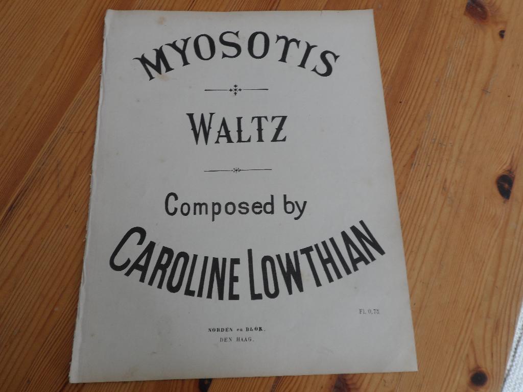 Myosotis waltz - caroline lowthian, Gebruikt, Ophalen of Verzenden, Artiest of Componist, Piano
