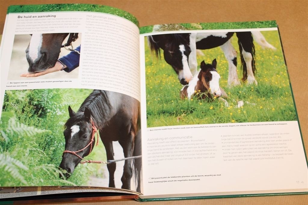 Training bij Paarden — Natuurlijk Gedrag & Praktijkgids, Boeken, Ophalen of Verzenden, Gelezen, Paarden of Pony's