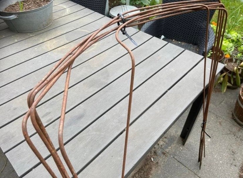 6 Metalen plantenbogen / tunnels voor klimplanten, Tuin en Terras, Ophalen, Bloeit niet, Klimplanten, Volle zon
