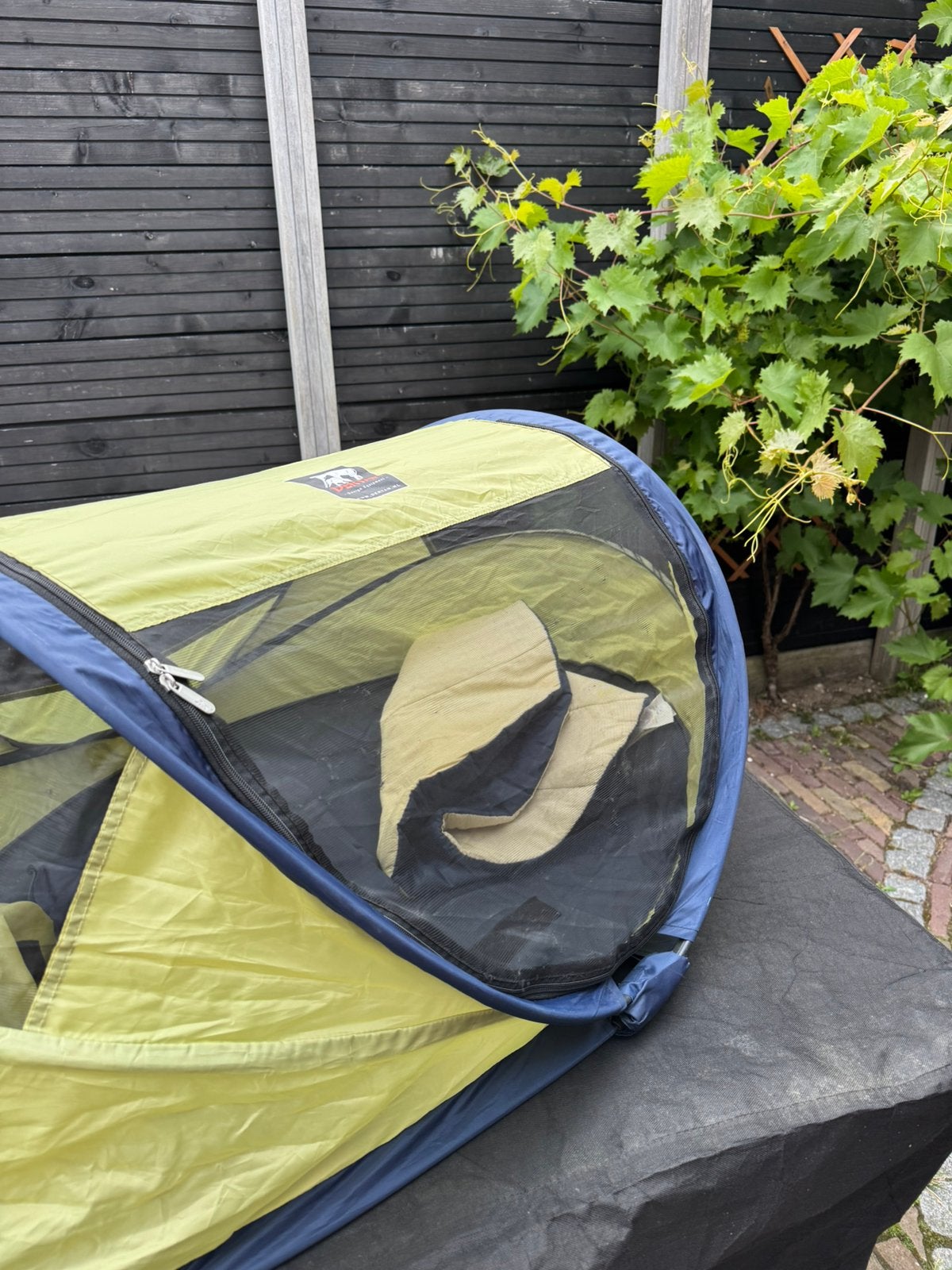 Deryan tentje, Caravans en Kamperen, Tenten, Ophalen of Verzenden, Gebruikt, Tot en met 2