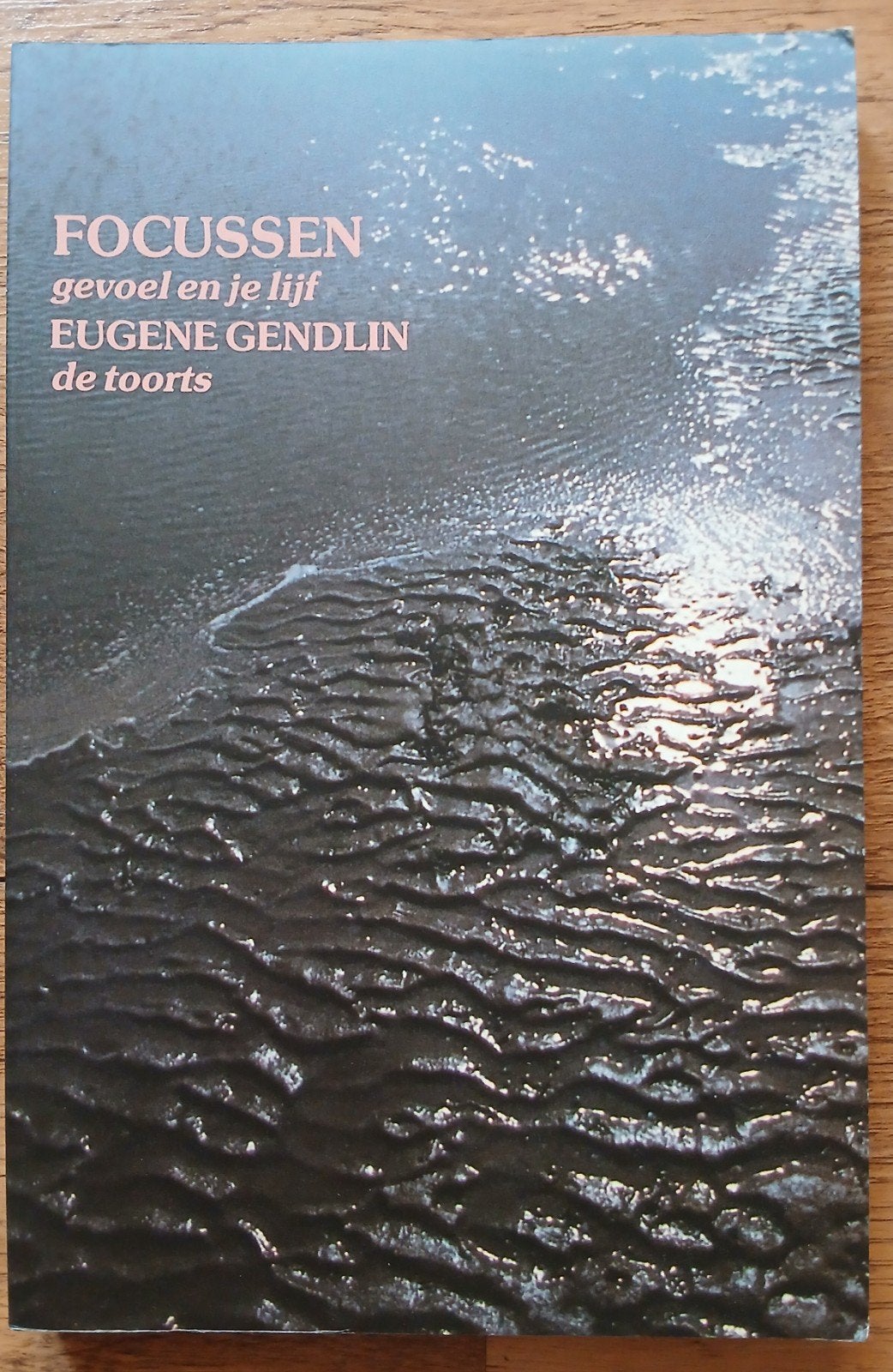 Eugene Gendlin, Focussen (gevoel en je lijf), Ophalen of Verzenden, Gelezen