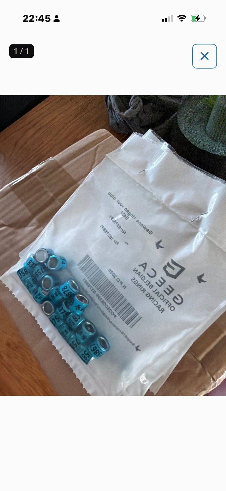 Te koop vaste voet ringen, Vrouwelijk, Postduif