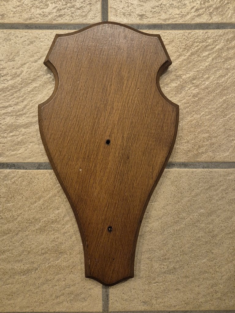 Mooi licht bruine trofeeplank 36x20 voor herten / taxidermie, Ophalen of Verzenden, Gebruikt, Hert, Gewei of Kop
