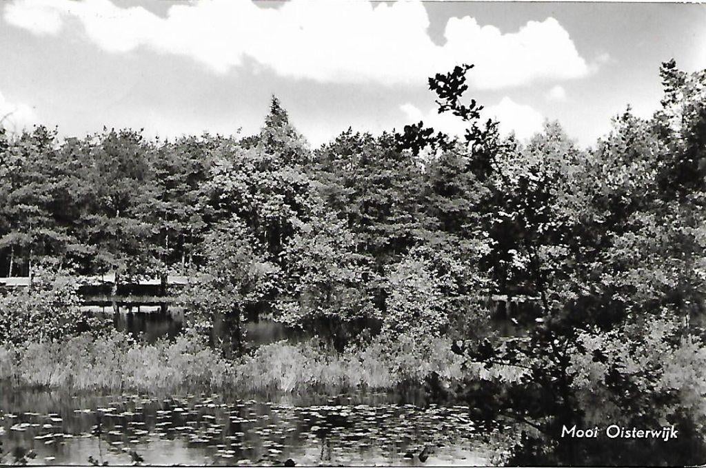 Oisterwijk- -Mooi Oisterwijk., Verzenden, 1940 tot 1960, Gelopen, Noord-Brabant