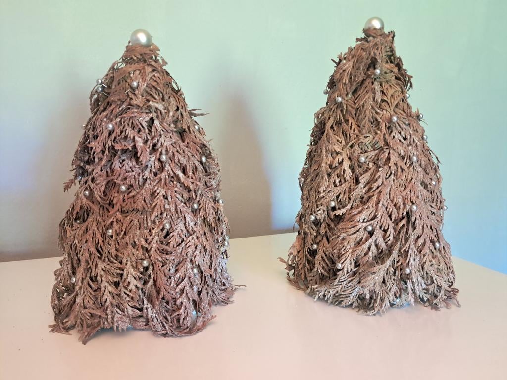 Set van 2 Decoratieve boompjes gratis, Ophalen